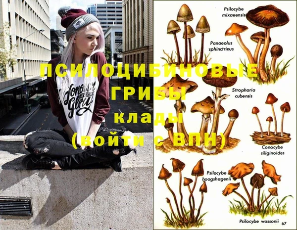 прущая мука Кодинск